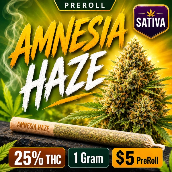 AMNESIA HAZE 1G SAT PRE-ROLL at Dean Park Cannabis
