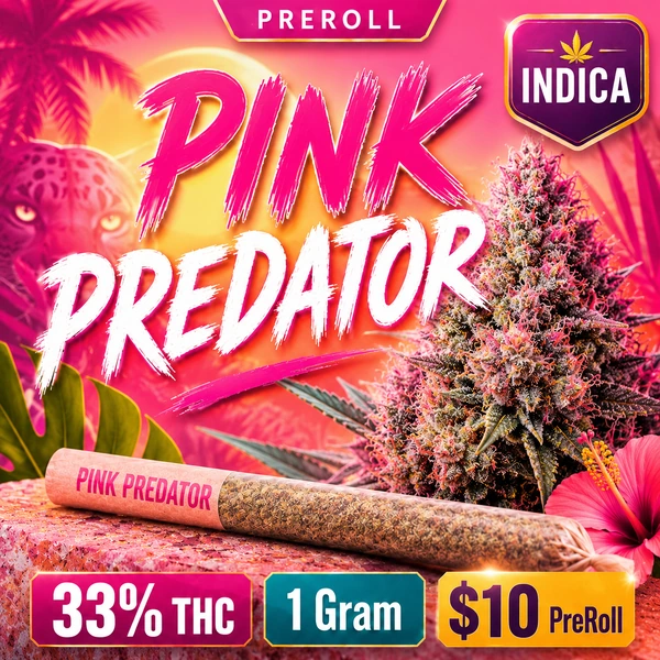 PINK PREDATOR 1G IND PRE-ROLL at Dean Park Cannabis